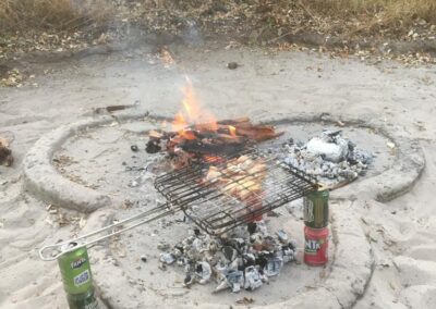 campfire , braaigrid , meat
