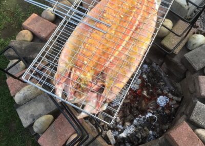 hot coals ,braaigrid fish