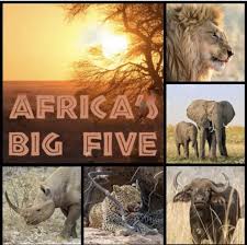 Napkin Africa's Big Five pack (20)